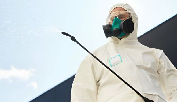 Pest Control Ingliston